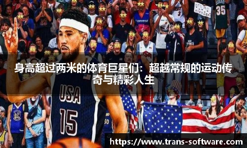 身高超过两米的体育巨星们：超越常规的运动传奇与精彩人生