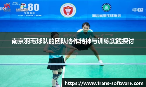 南京羽毛球队的团队协作精神与训练实践探讨