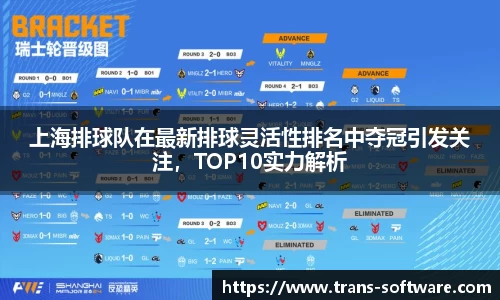 上海排球队在最新排球灵活性排名中夺冠引发关注，TOP10实力解析