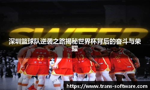 深圳篮球队逆袭之路揭秘世界杯背后的奋斗与荣耀
